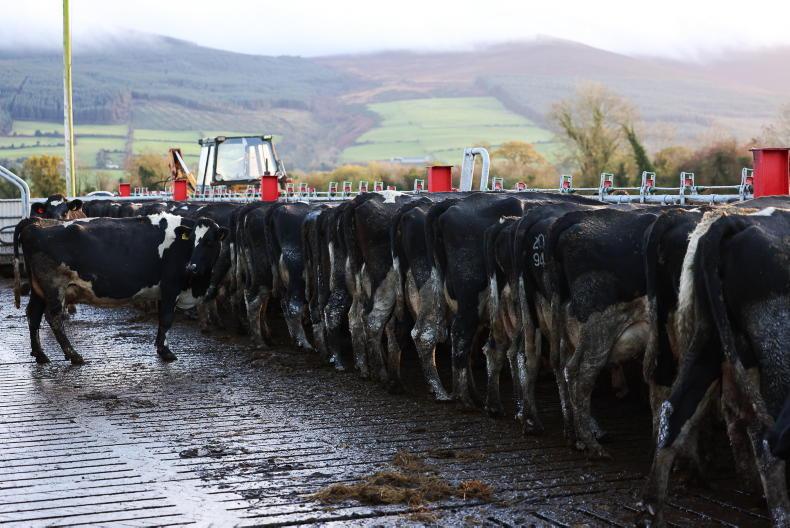 Weekend weather: turning less cold but showers to stay