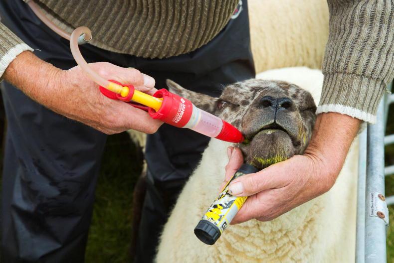 Schemes update: ensure SIS mineral supplementation is offered for long enough