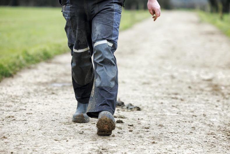 Payments to forgotten farmers to issue in December