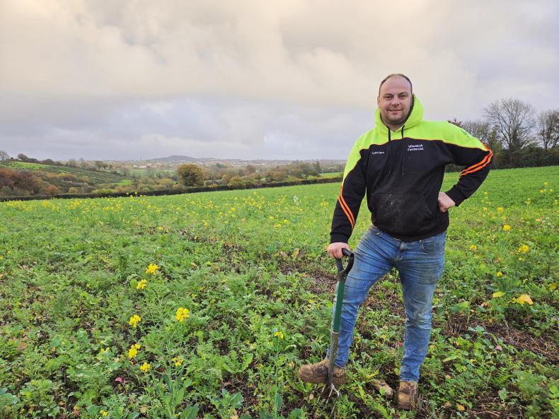 Aiming high on yields and water quality on Wexford farm
