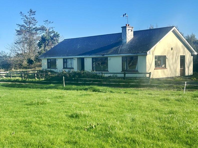 Quality cliff-top grazing on the Copper Coast                            