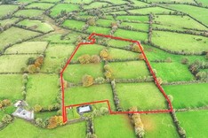 Hammer time for a pair of Leinster farms