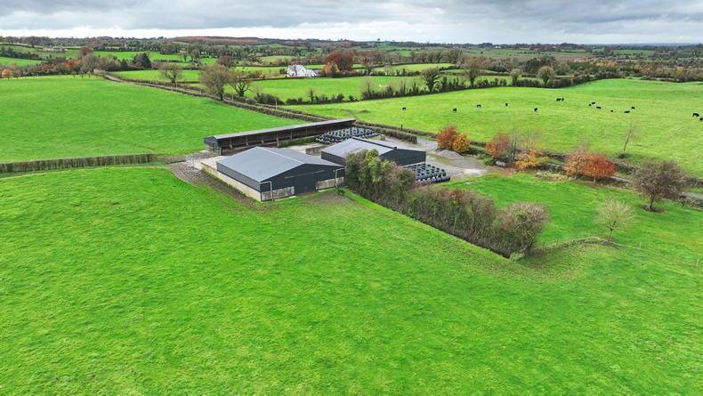 Model Mullingar farm set for public auction guided at €1.9m