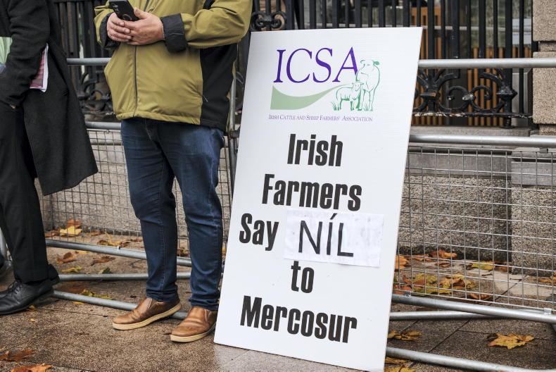 Commission turning 'blind eye' to use of antibiotics in Brazil - ICSA