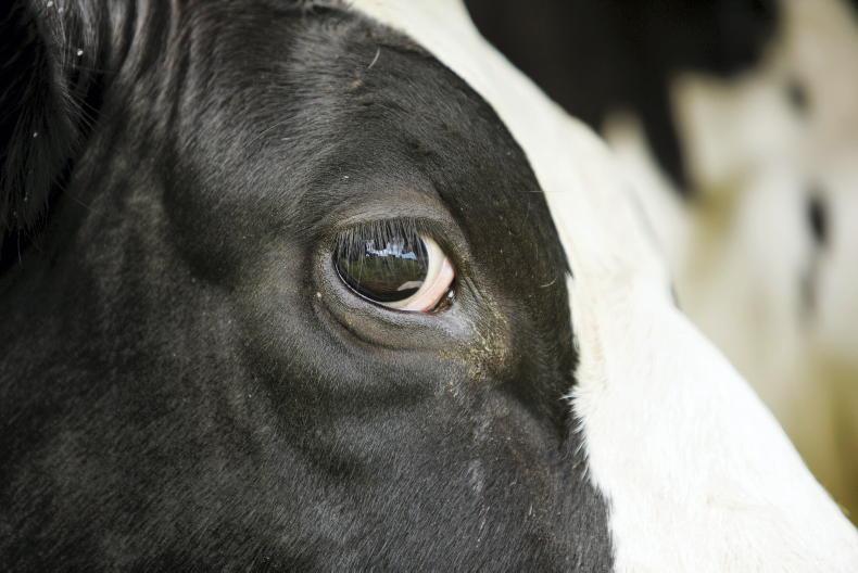 Rate of factory lesions double over last five years