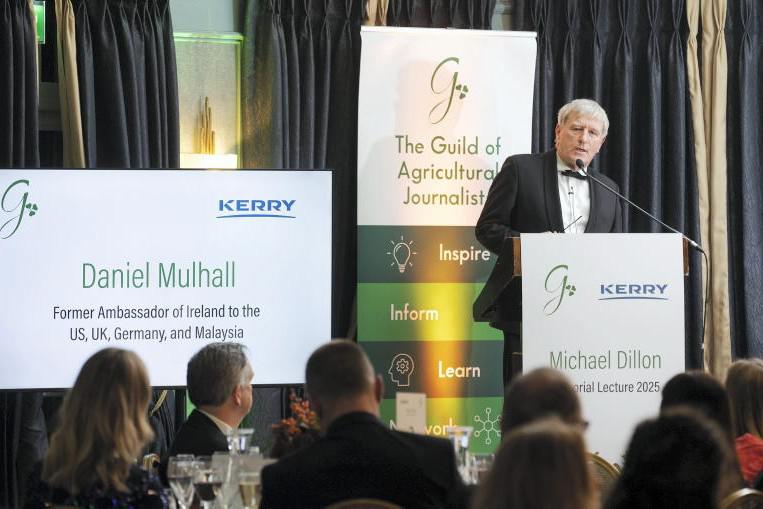 Ireland needs to diversify from US – Mulhall