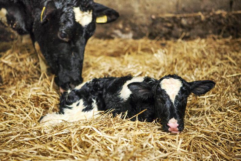 Cattle tag orders are starting to ramp up  