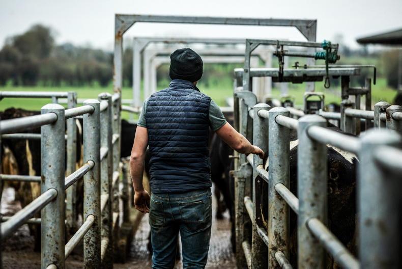 Auto-enrolment to cost farmers thousands in employee costs - FRS