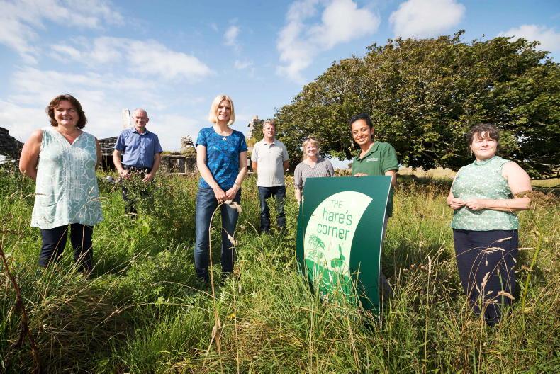 Local biodiversity projects receive funding of €3m