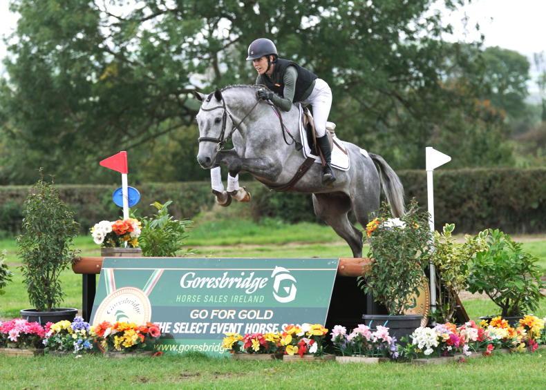 Sport horse sales year finishes on a high