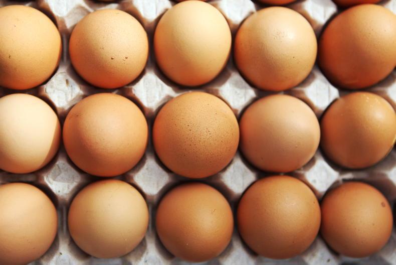 View from China: China's egg-cellent market opportunities