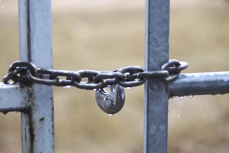 €30,000 worth of cattle stolen in Cork