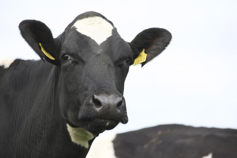 VistaMilk leads new research into greenhouse gas mitigation