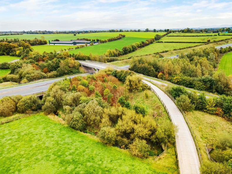 Christmas sale planned for Rockwell Farm