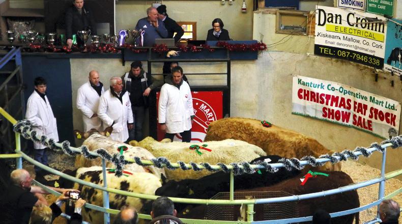 Camera at the Mart: €4,850 for Kanturk Christmas fatstock winner 