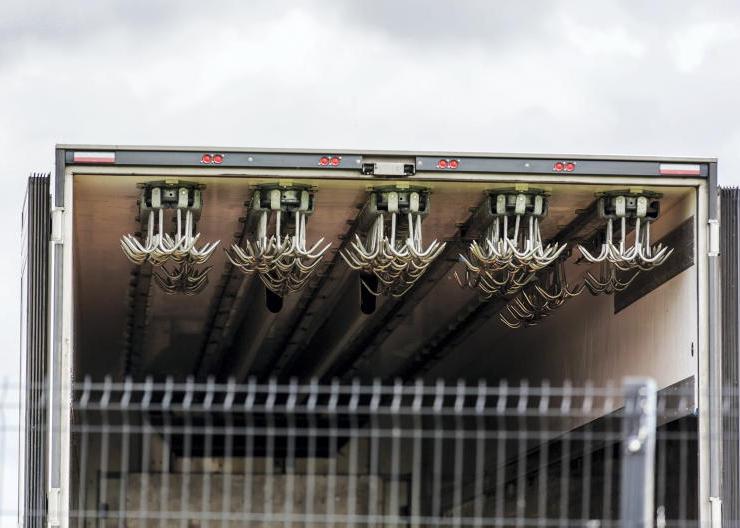 Beef factories ‘need to restructure to ensure profitability’