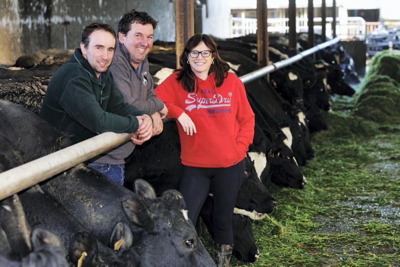 My Farming Week:  Darren Buttimer, Knockskeagh, Lyre, Clonakilty, Co Cork