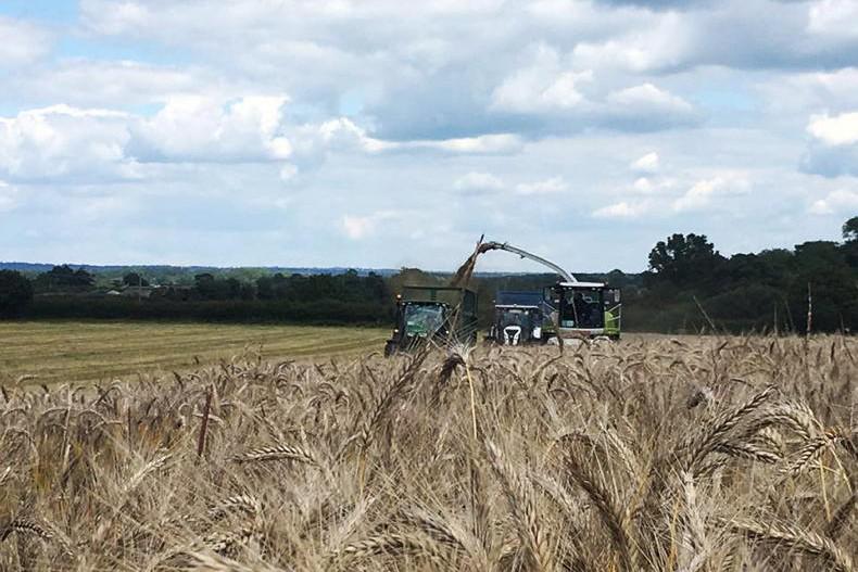 Back to the future in England           