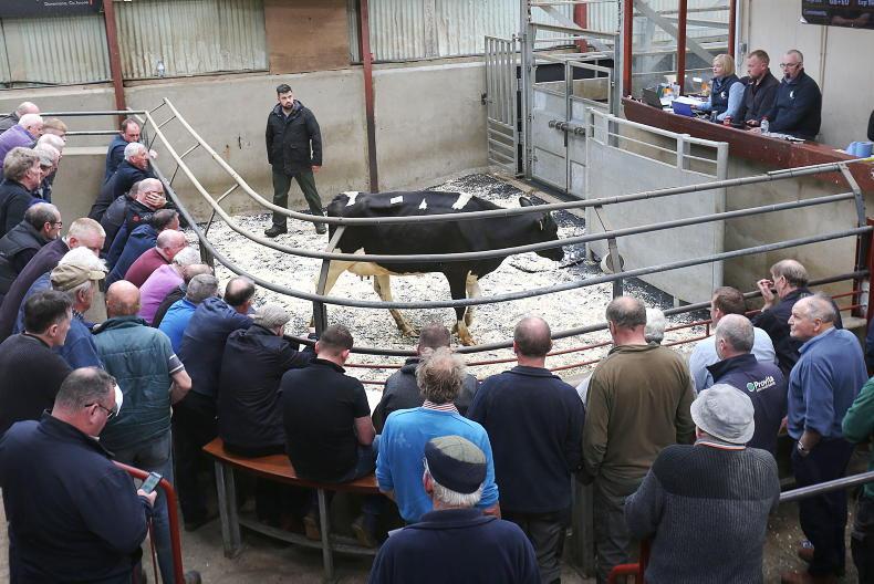 Northern Ireland diary of events