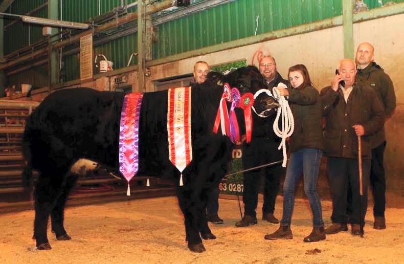 Champion fetches £12,600 at Hilltown