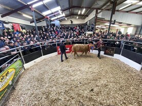 Editorial: Carrick Winter Fair a huge success