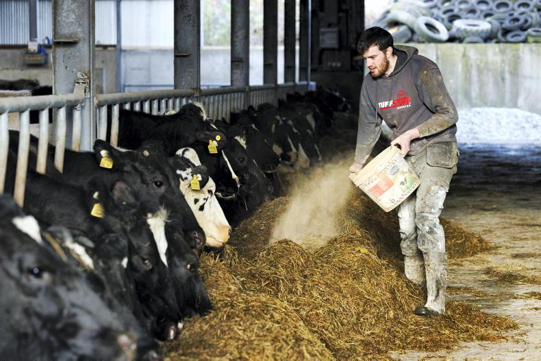 Dairy Management: choosing the right dry cow minerals