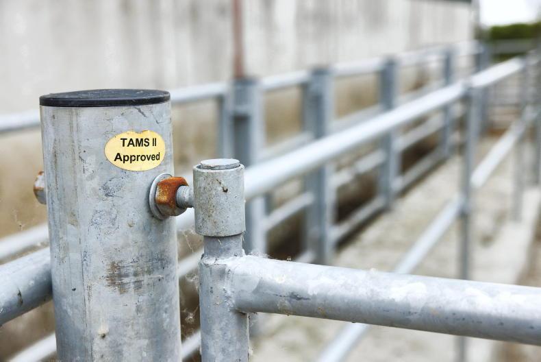 Ranking and selection for TAMS tranche nine applications