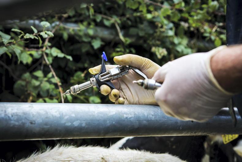 Minister claims ‘temporary backlog’ in TB compensation now cleared