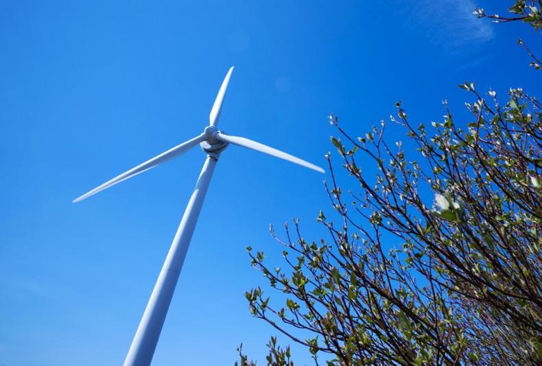 Kepak wins large-business SEAI energy award