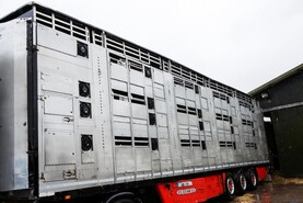 Bluetongue virus – the trade implications for live exports in Northern Ireland