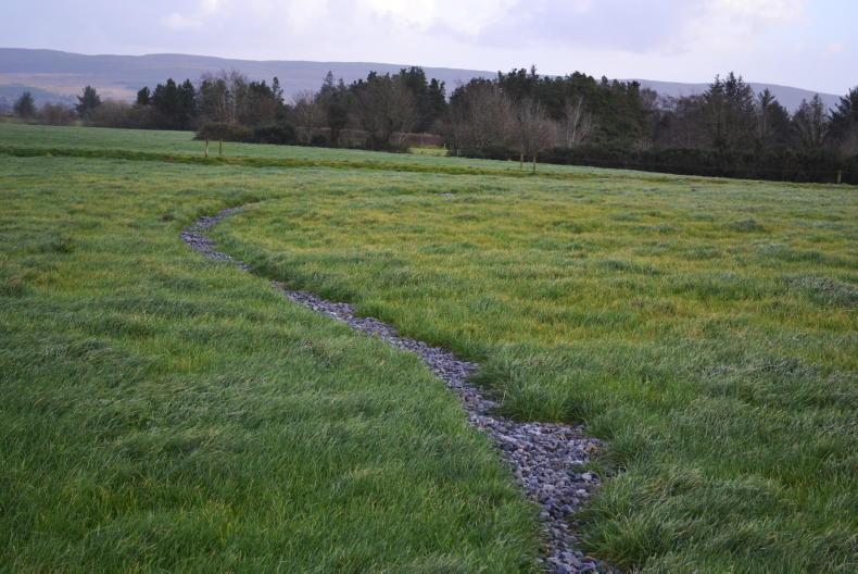 Tuam auctioneers celebrate 50 years in business             