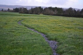 Tuam auctioneers celebrate 50 years in business             