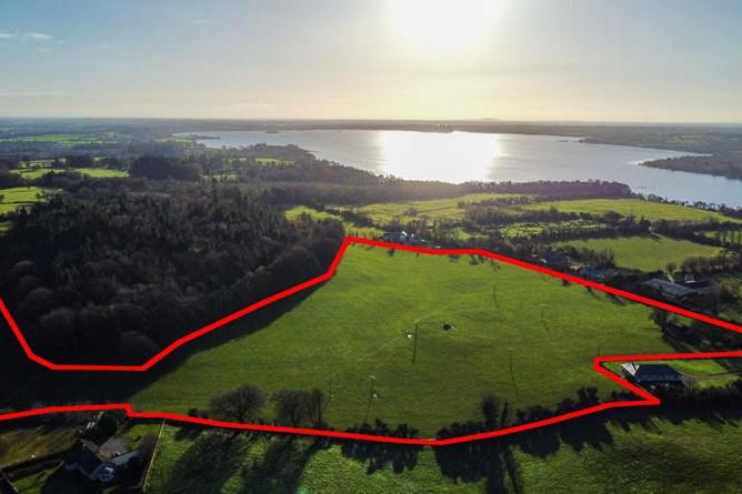 Hammer time for a pair of Leinster farms
                                  