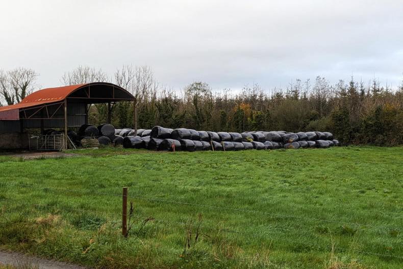 Clare grazing ground guided at €270,000               