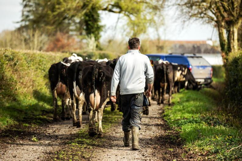 Commission proposes to extend Ireland’s nitrates derogation