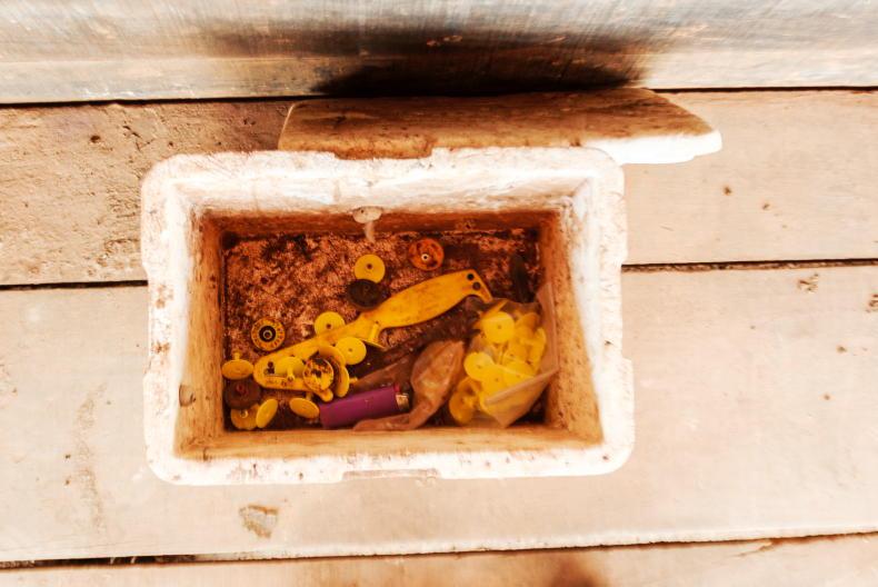 Watch: Brazil investigation highlights tagging and traceability issues