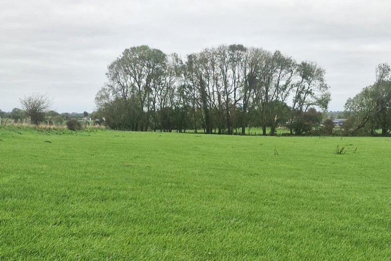 Roscommon land exceeds €25,000/ac                             