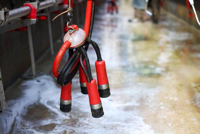 MEPs sound alarm on conditions of derogation extension