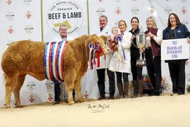 Irish buyers spend big at Royal Ulster Beef and Lamb championships