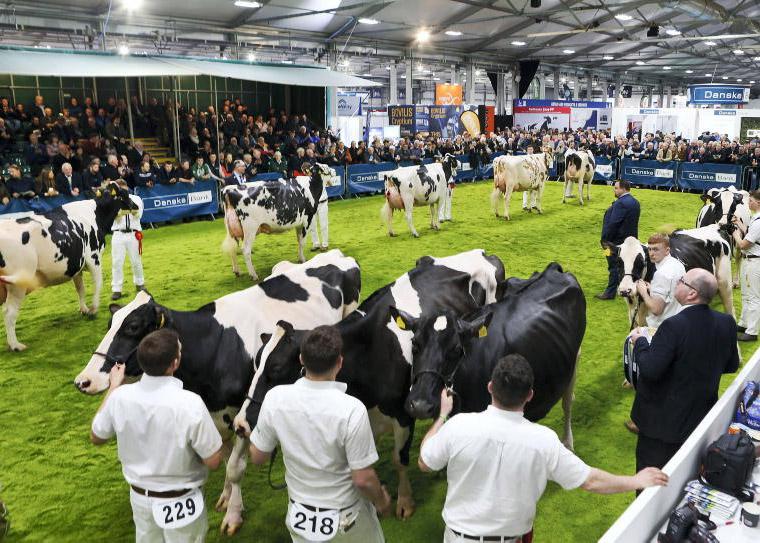 Dairy in the spotlight at 39th RUAS Winter Fair