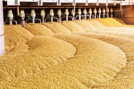 Malting Company of Ireland annual results show rise in profits