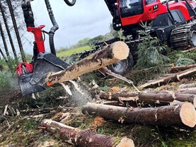 New funding for forest owners taking step towards certification