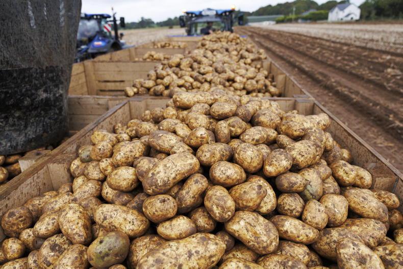 From spuds to skincare              