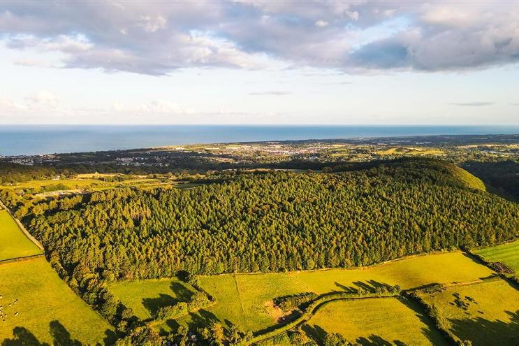 State buys 100ac of land in the Glen of the Downs