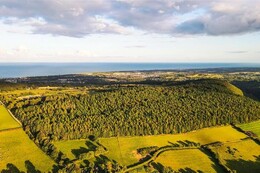 State buys 197ac of land in the Glen of the Downs