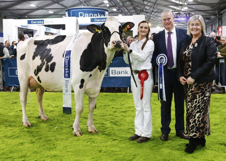 Hallow Holsteins look to make it three in-a-row