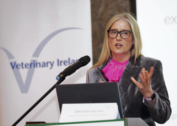 Concern over lepto vaccine shortages dismissed