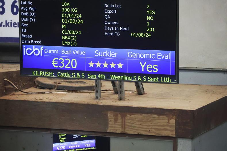 Home Farm:  starting our solar journey