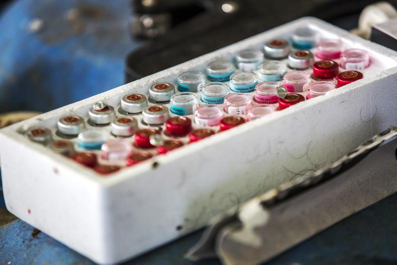 Dempsey at Large: TB control - more of the same 