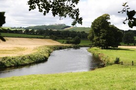Over €13m in funds to remove barriers to fish migration in rivers